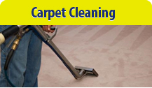 Carpet Cleaning